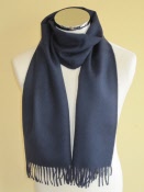 d100011p0000-p510001-gr